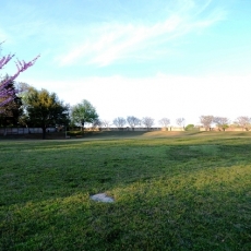 ldh_3272 ldh_3272