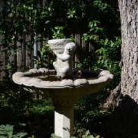 cc7_2238 cc7_2238