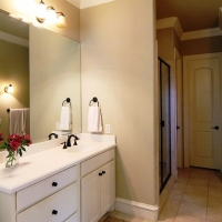 img_0821masterbath img_0821masterbath