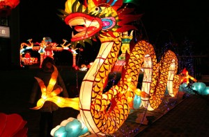 china_dragon_claw_2131253i