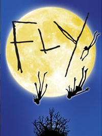454DTC-12-13-FlyW