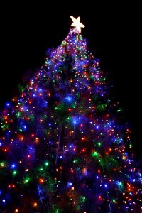 tree