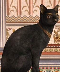 cat