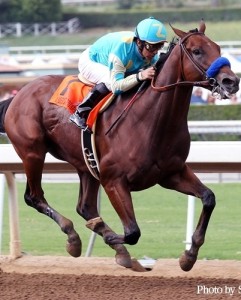 horse